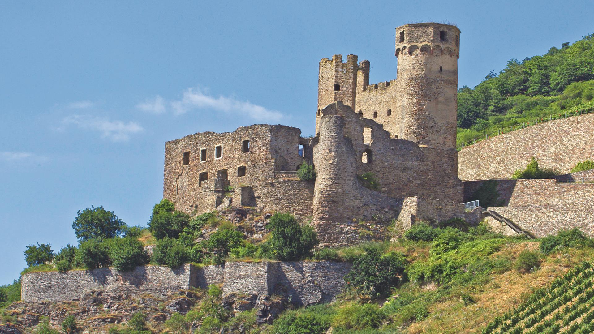 River cruise to Rudesheim castle